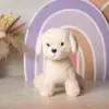 Бишон Элвис