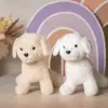 Бишон Элвис - фото 4