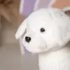 Бишон Элвис - фото 3