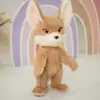 Фенек Юсичка - фото 2