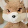 Фенек Юсичка - фото 3