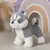 Хаски Амур