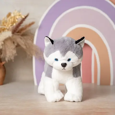 Хаски Амур