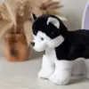 Хаски Блэк - фото 4