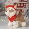 Хаски Найда - фото 2