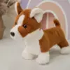Корги Ник