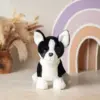 Корги Оскар
