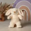 Кролик Счастье молочный
