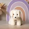 Лабрадор Шафран