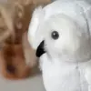 Сова Букля - фото 2