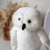 Сова Букля - фото 3